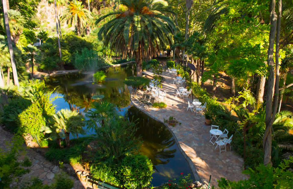 Event Finca °8