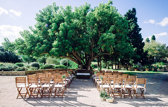 Hochzeitsplaner Mallorca Finca Zeremonie °5