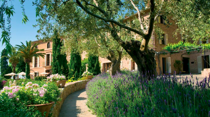 Hochzeitsplaner Mallorca Hotel Garten °59