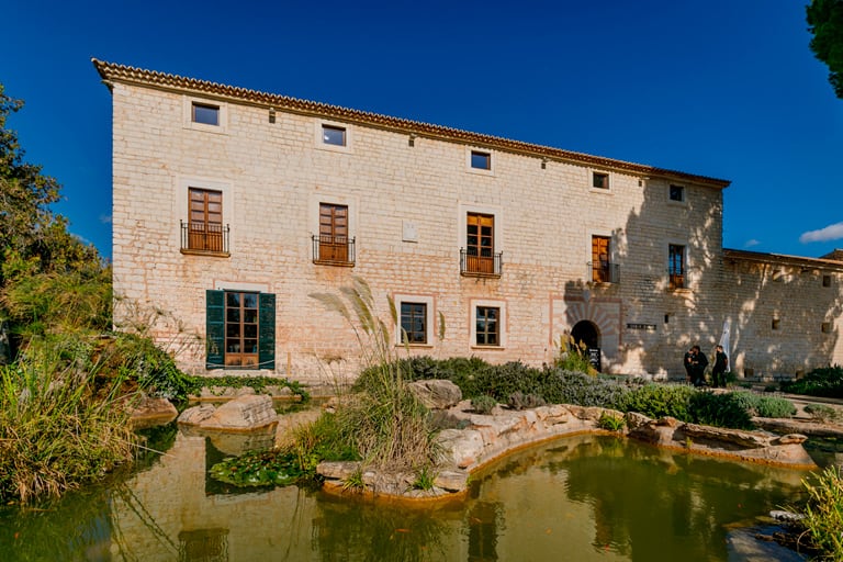 Finca °173