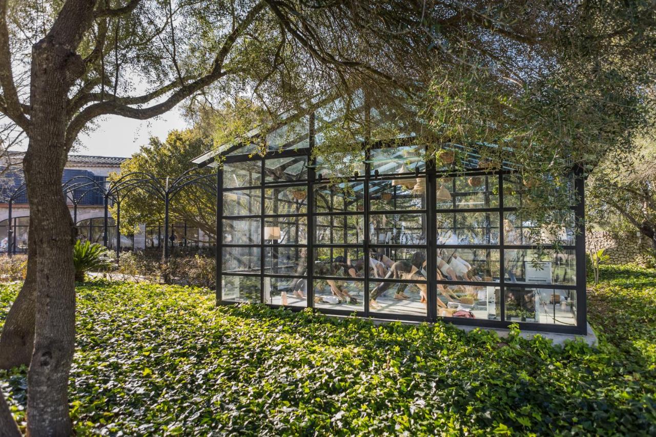 Finca °204