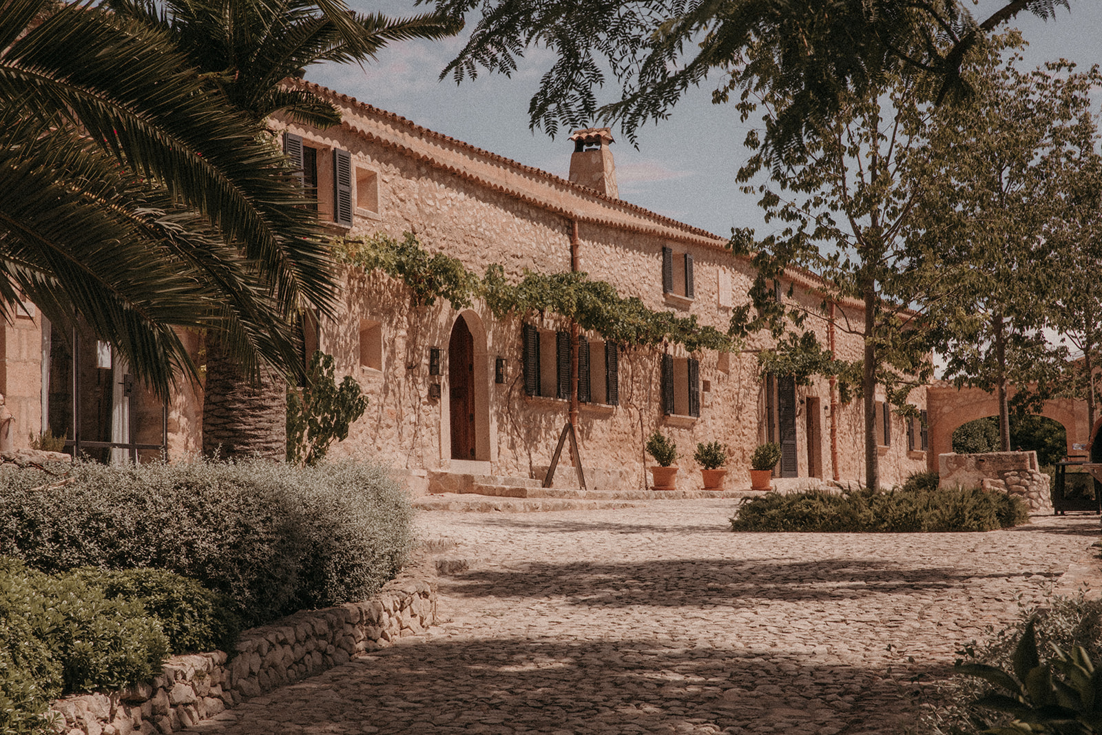Finca °204