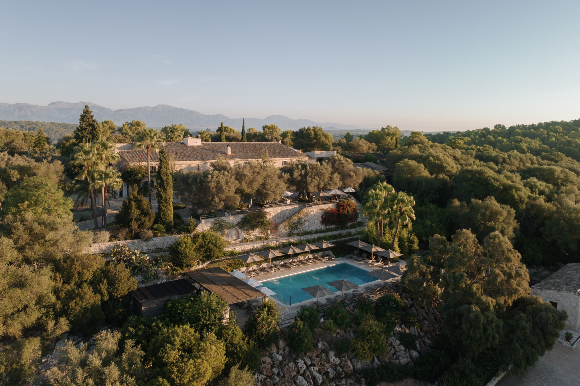 Finca °204
