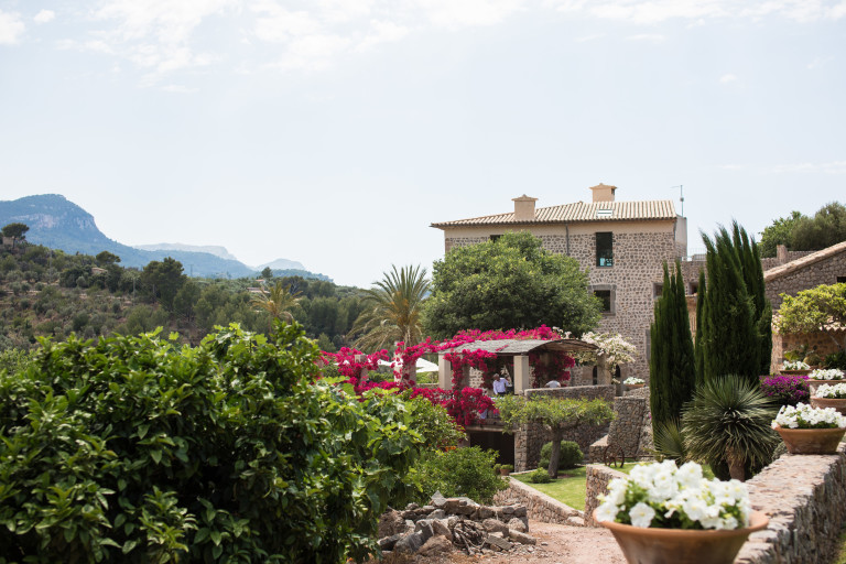 Finca °186