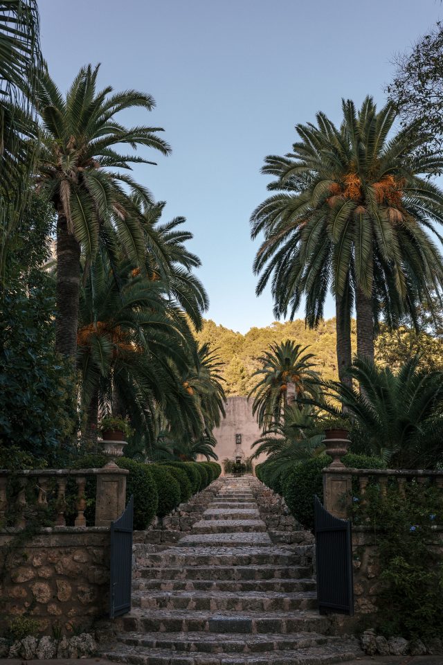 Finca °8