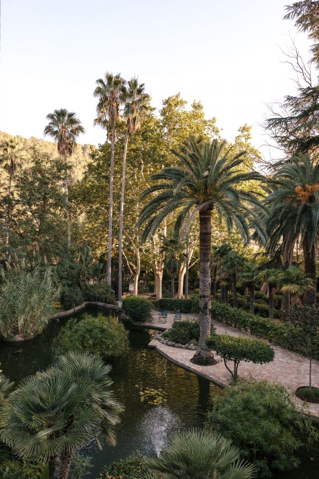 Finca °8