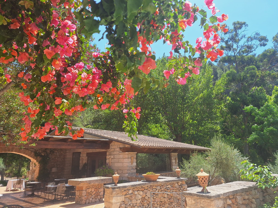 162° Hotel Melia Finca Ratxó